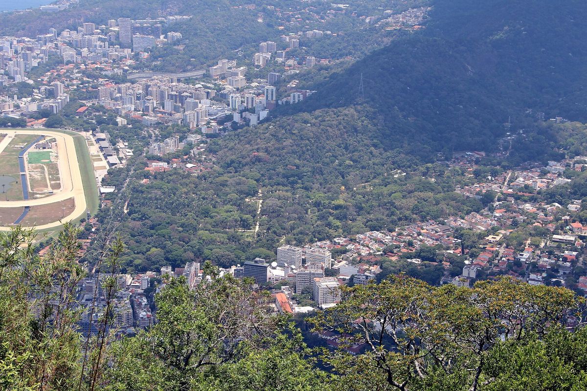 Jardim Botânico do Rio de Janeiro